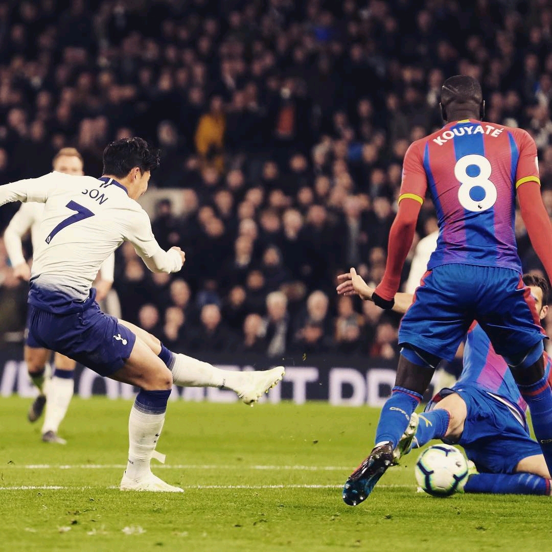 已然成为乒 已然成为乒